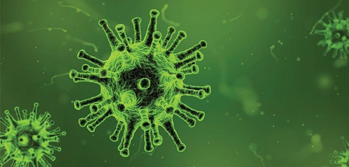 Antibakteriyel Ürün Tavsiyeleri