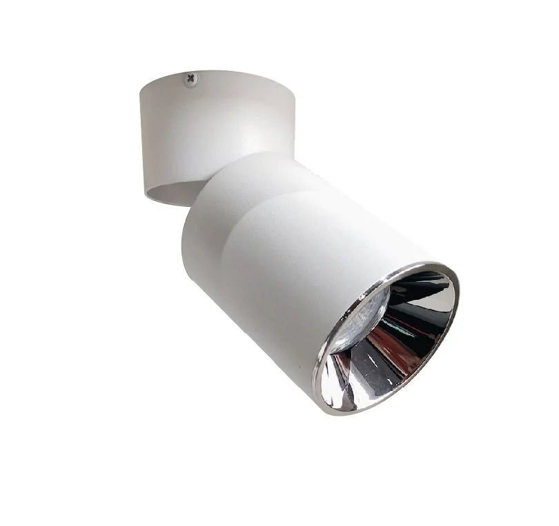 Cata Datça Sıva Üstü 90 Derece Led Armatür Beyaz+Platin Gu10 Duy Boş Kasa CT-5335 - BP